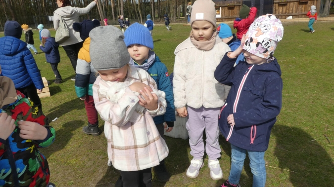 W Zagrodzie Białego Królika